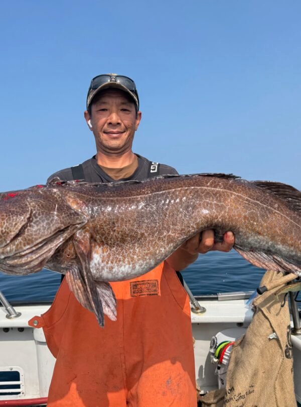 2026_39_1144_5202_lingcod18